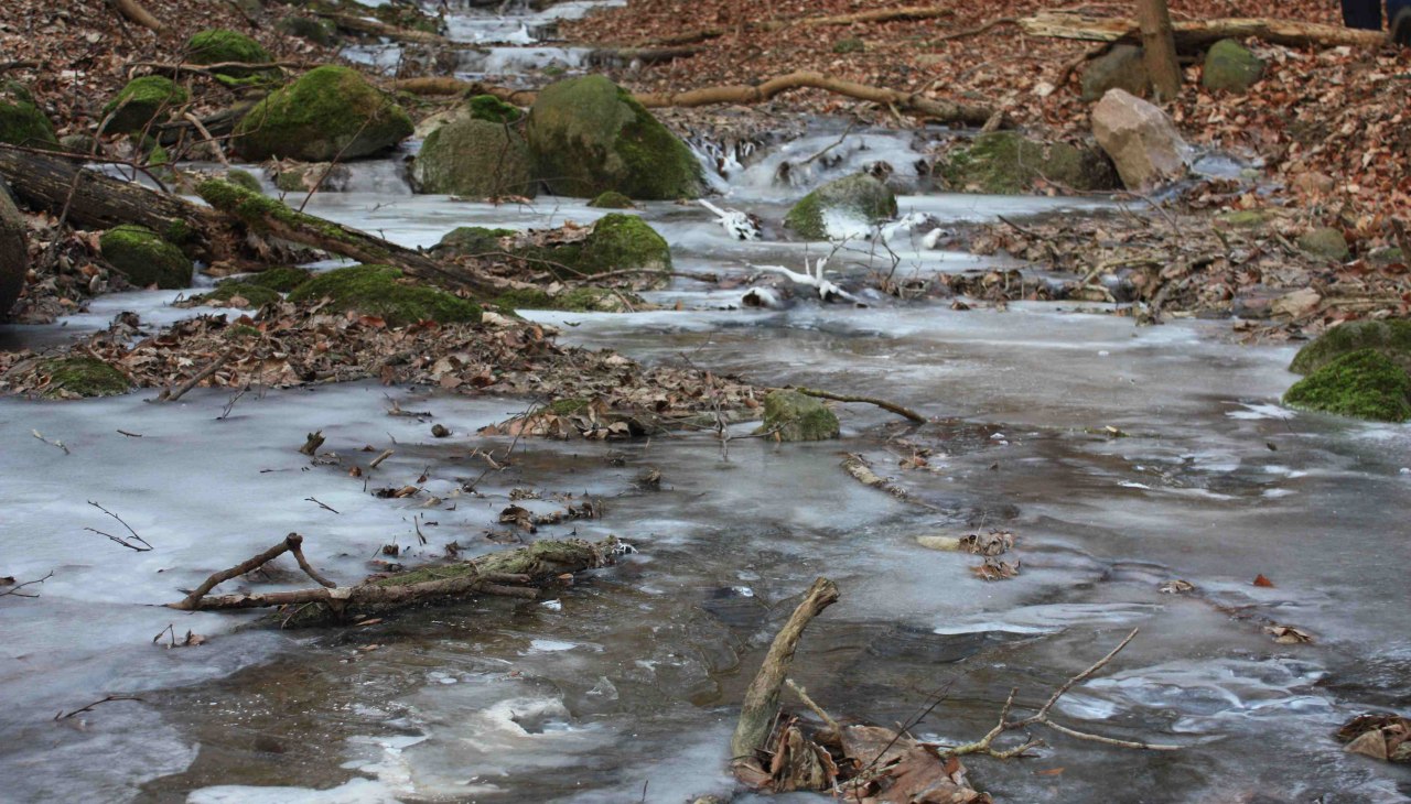 Frozen stream, &copy; Gudrun Marin-Ziegler