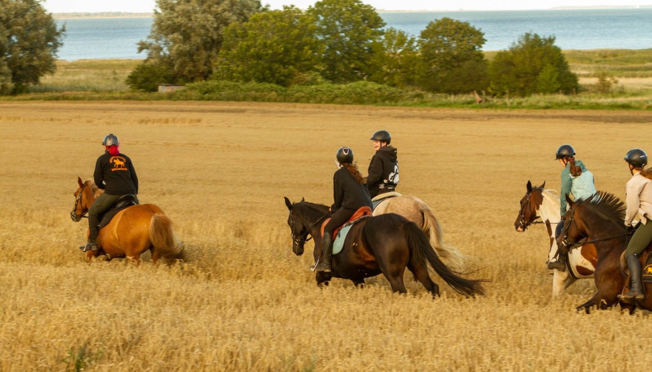 2023-08-13 09-44-08, © bernsteinreiter 2023-08-13 09-44-08, © bernsteinreiter