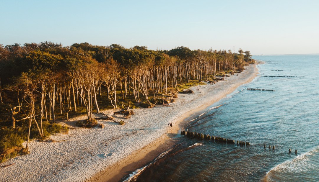 Het kuuroord Graal-Müritz aan de Oostzee ligt prachtig tussen uitgestrekte zandstranden, kilometerslange kustbossen en de Rostockse Heide., © TMV/Friedrich