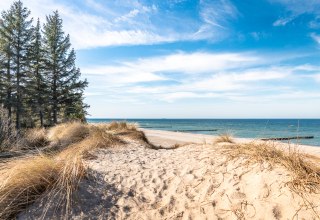 Coastal forest hike "Between the sound of waves and forest whispers" // &copy; Andr&eacute; Pristaff / TuK