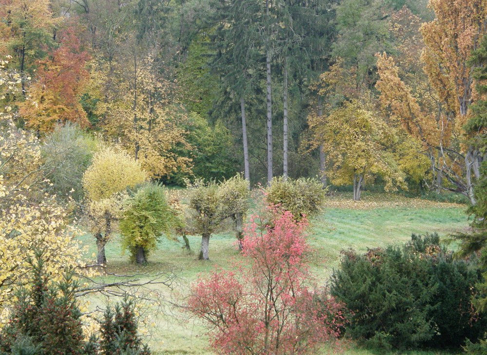 Wietzower Park, &copy; Kr&ouml;ger