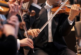 &copy; TOG (Foto: Matthias Horn)