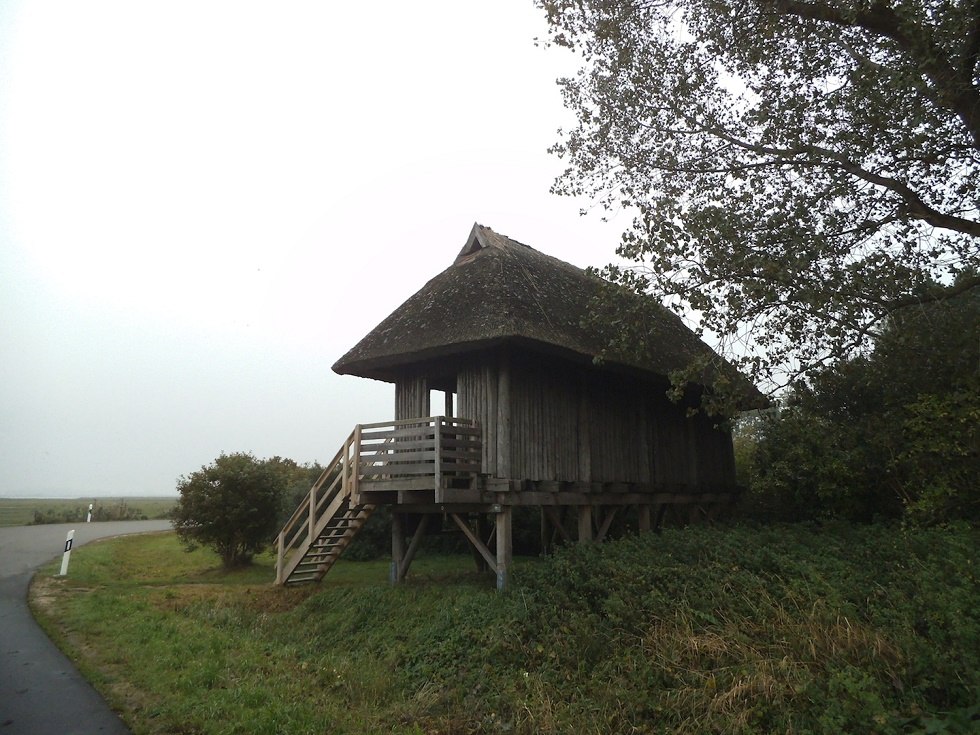 Platforma do obserwacji ptak&oacute;w Tankow na wyspie Ummanz // &copy; Tourismuszentrale R&uuml;gen