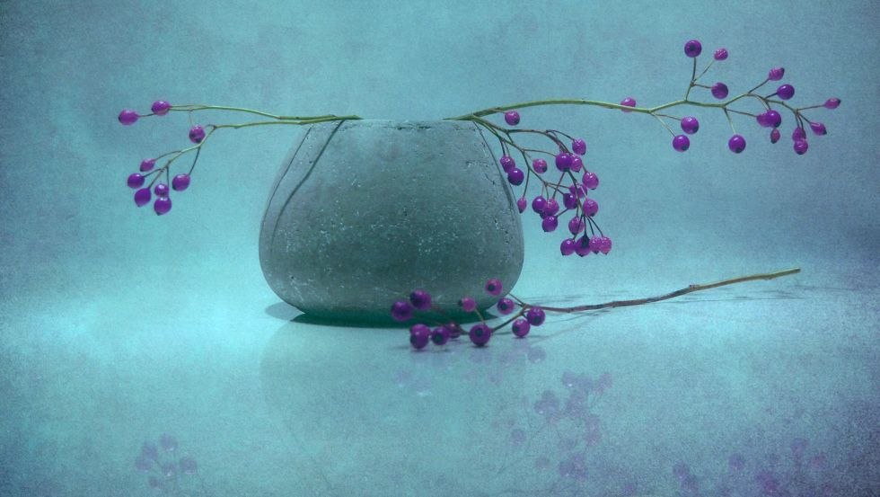 Blauwe bes, © Claudia Drossert