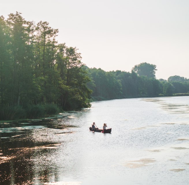 Two people paddle in a canoe on the Peene, surrounded by lush nature and sun-drenched water. // Canoeing on the Peene - discover the tranquillity of nature in Mecklenburg-Vorpommern // © MV-T/Gross Two people paddle in a canoe on the Peene, surrounded by lush nature and sun-drenched water.