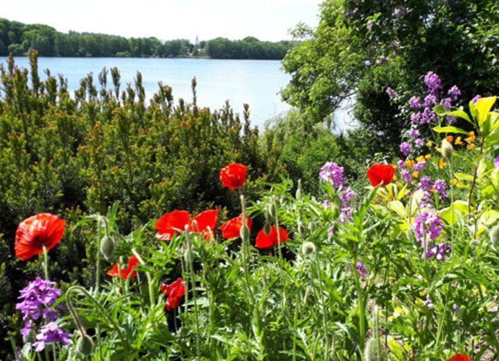 offene-garten, © adfc-Schwerin