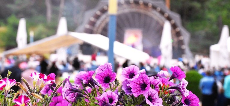 &copy; Pfingstfest2.JPG