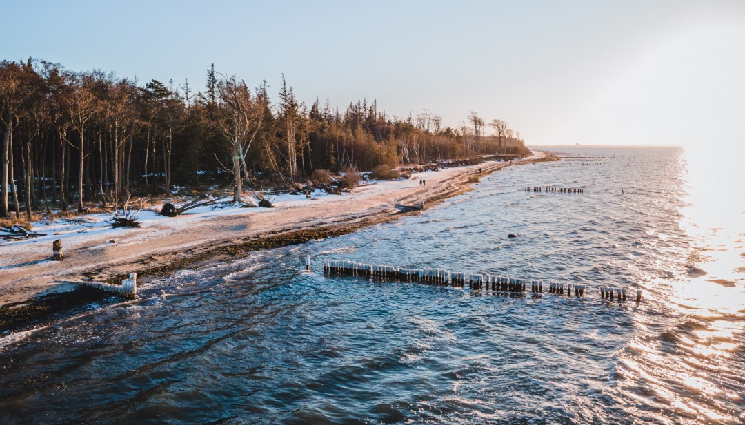 Pure natuur in de winter - het ongerepte weststrand aan Fischland-Darß-Zingst nodigt uit tot ontspannende wandelingen langs de Oostzeekust, omgeven door bos, zee en uitgestrektheid., © TMV/Scholz-Witzel Een winters stuk strand aan de westkust van Fischland-Darß-Zingst met uitzicht op het bos en de Baltische Zee bij zonsondergang.