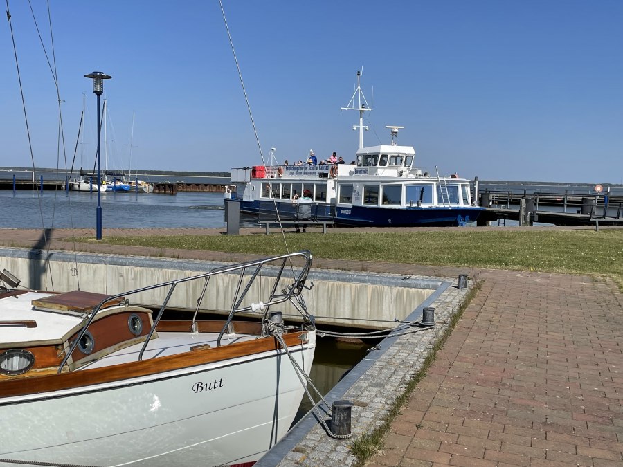 IMG_1605, © TZ Südliche Boddenküste IMG_1605, © TZ Südliche Boddenküste