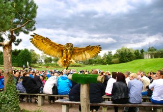 Oehoe in de luchtshow // © @ Vogelpark Marlow Oehoe in de luchtshow // © @ Vogelpark Marlow