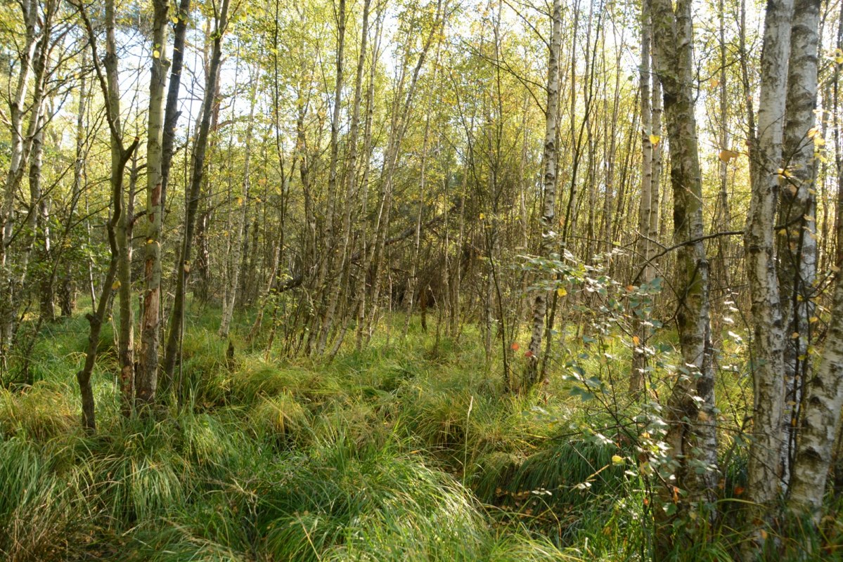 &copy; Tourismusverband Mecklenburg-Schwerin