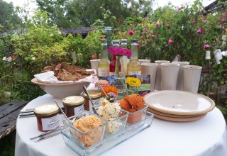 &copy; Catharina Groth