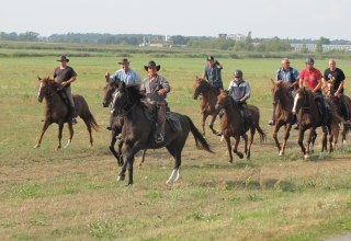 Unsere Ausritte f&uuml;hren vorbei an der Steilk&uuml;ste, durch die Wiesen und in der Nebensaison auch an den Strand. // &copy; Juliana V&ouml;lkner