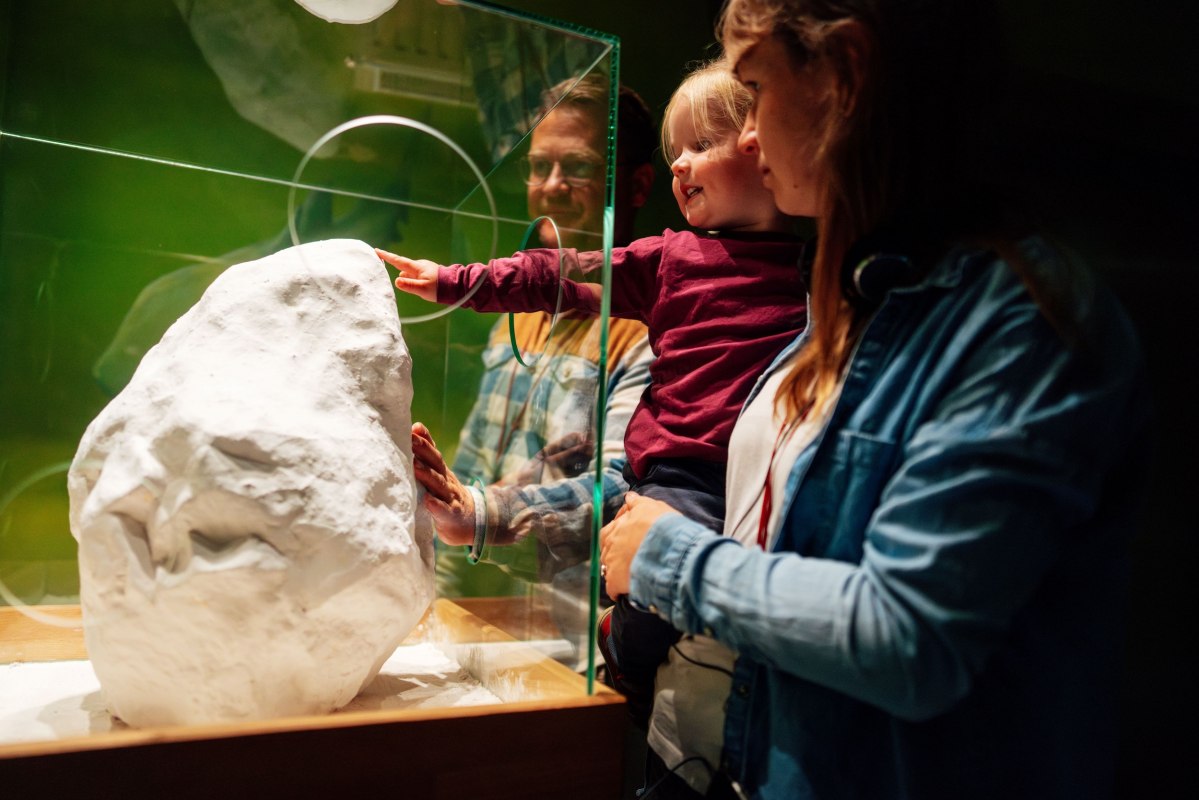 An interior space in which people look at and touch an exhibit together. // © Nationalpark-Zentrum KÖNIGSSTUHL / Dan Petermann An interior space in which people look at and touch an exhibit together. // © Nationalpark-Zentrum KÖNIGSSTUHL / Dan Petermann
