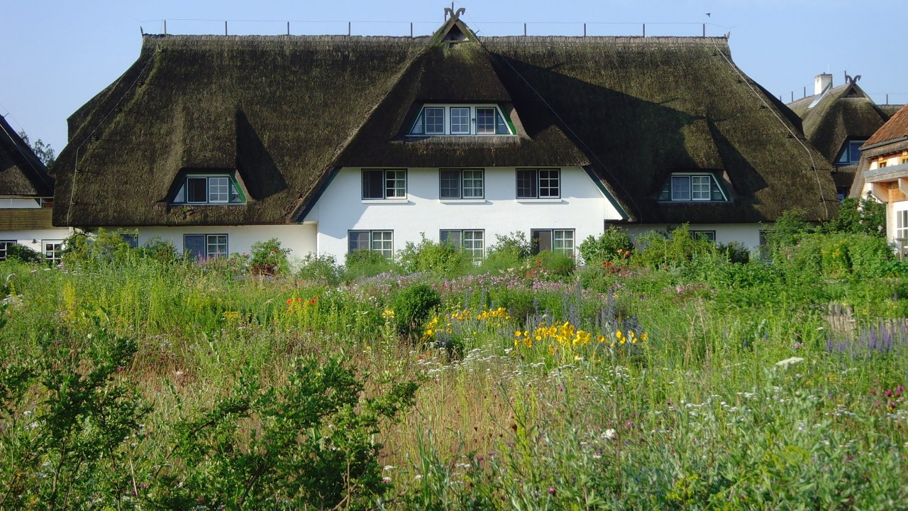 Hotellets Haferland set fra haven // © Martina Evers Hotellets Haferland set fra haven // © Martina Evers