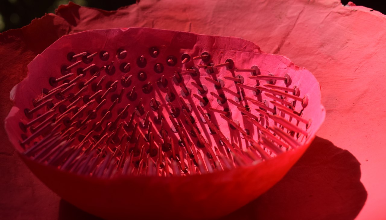 © Renate U. Schürmeyer