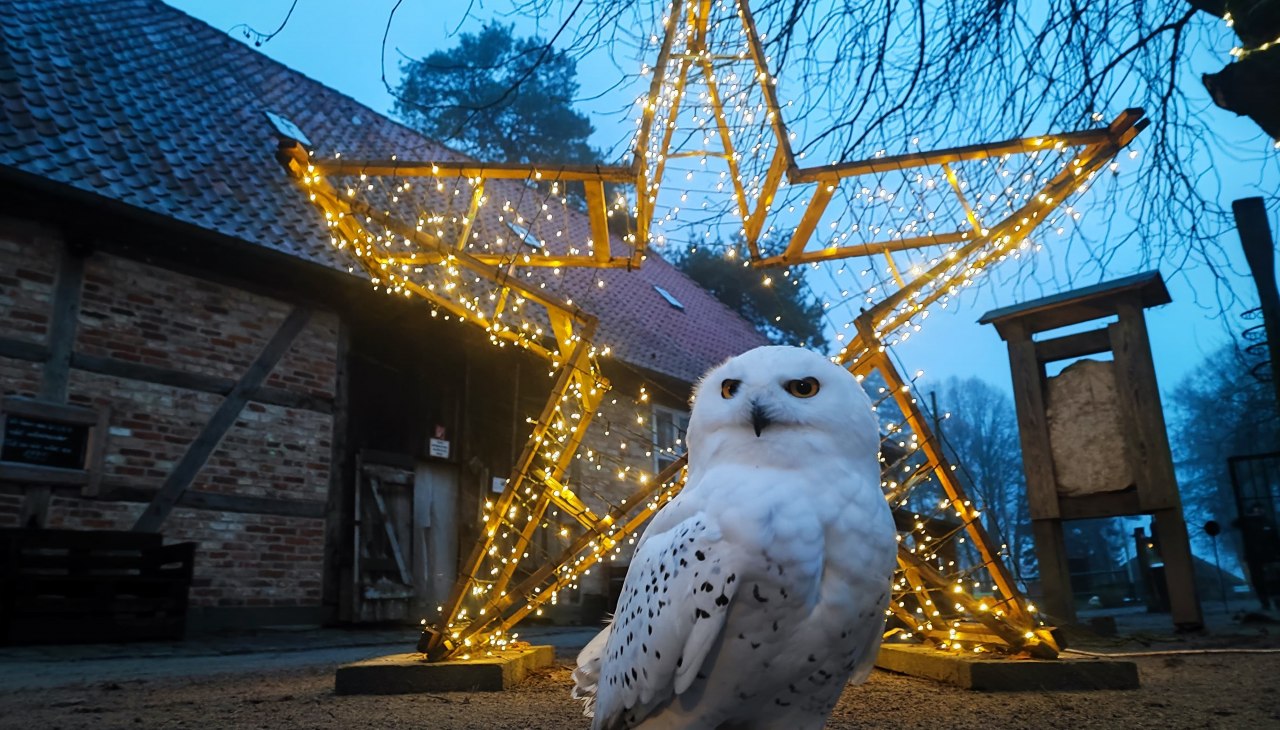 IMG-20241205-WA0007, © Hansestadt Stralsund IMG-20241205-WA0007, © Hansestadt Stralsund