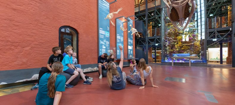 © Anke Neumeister/Deutsches Meeresmuseum © Anke Neumeister/Deutsches Meeresmuseum