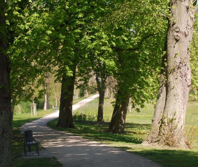 © Stadt Parchim © Stadt Parchim