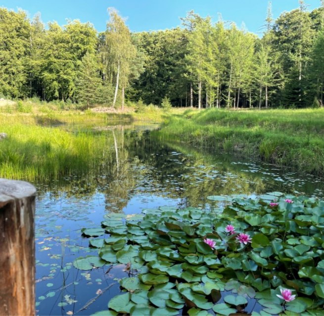 Natur im Einklang // © Südliche Boddenküste Natur im Einklang // © Südliche Boddenküste