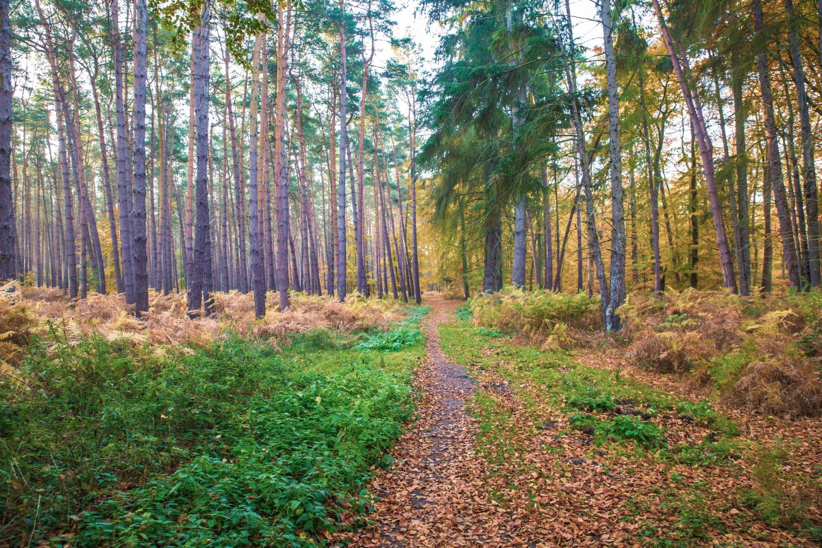 &copy; insel-fotograf.eu, Andreas Dumke