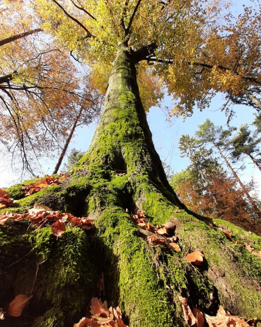 © 77192742-f5a2-401c-8cb0-cb2cb155cb3b.jfif