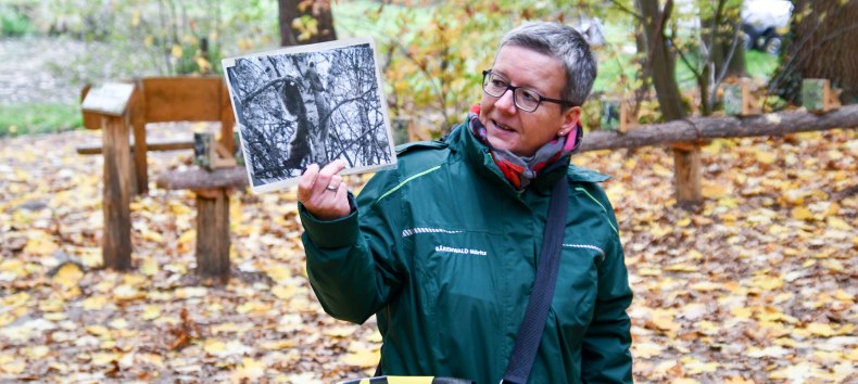 &copy; B&Auml;RENWALD M&uuml;ritz | Manuela Klier