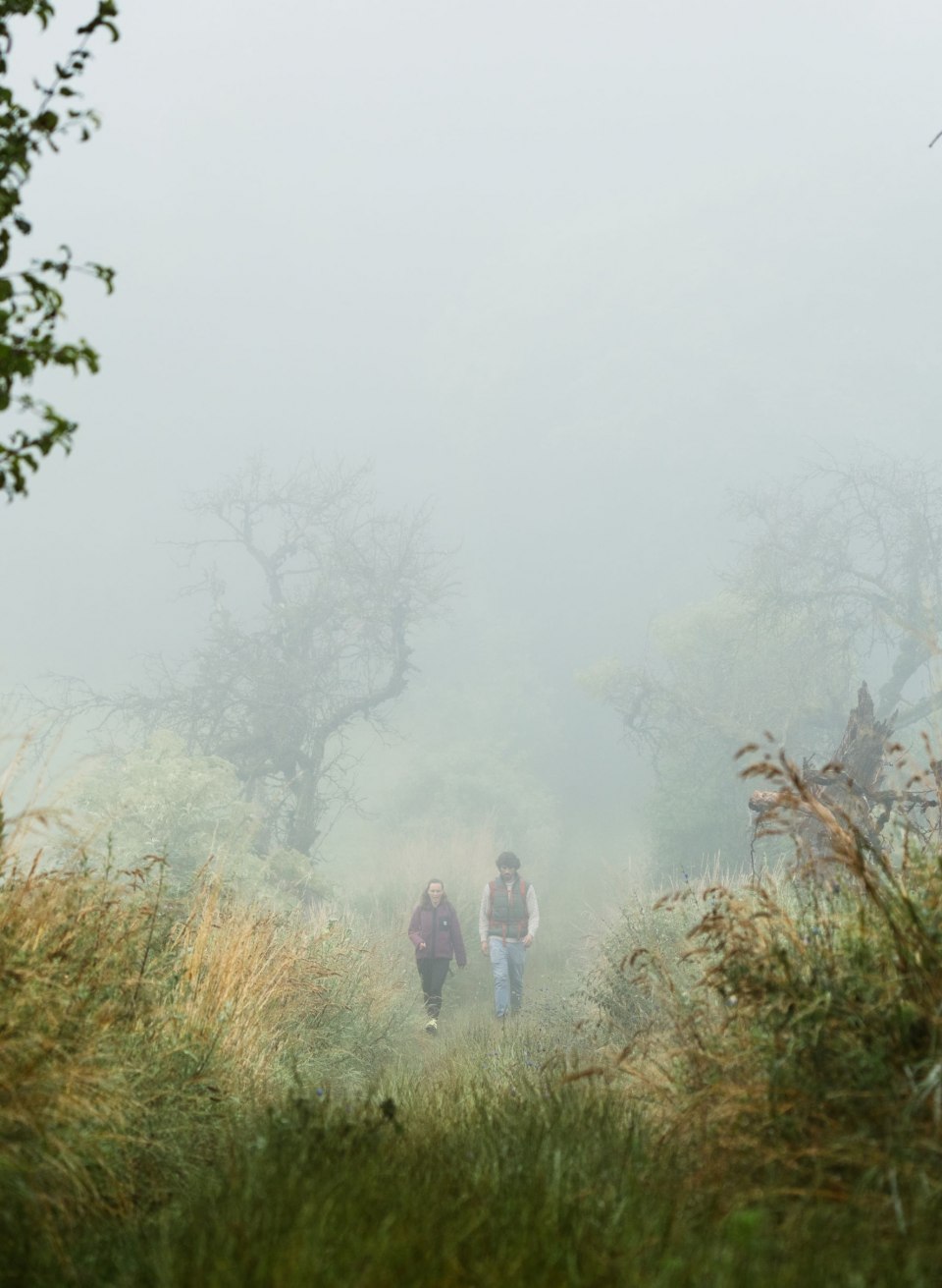 Para wędruje przez dziki naturalny krajobraz Rötelberg w Meklemburgii Szwajcarii w mglisty poranek. Wysokie trawy i stare drzewa nadają ścieżce mistyczną atmosferę, która emanuje spokojem i przygodą jednocześnie.