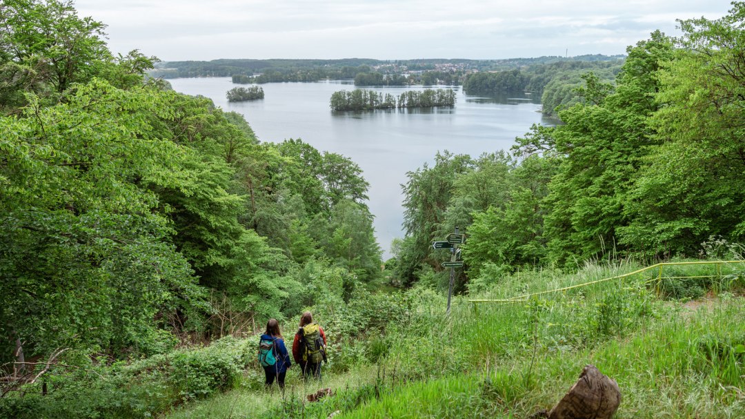 Wędrówka szlakiem parku przyrody przy punkcie widokowym Reiherberg, © TMV/Gross