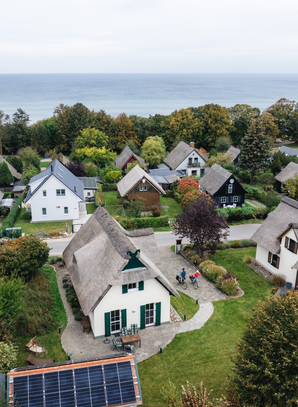  Aerial view of thatched-roof houses on the island of Poel, surrounded by green gardens and with a view of the Baltic Sea.