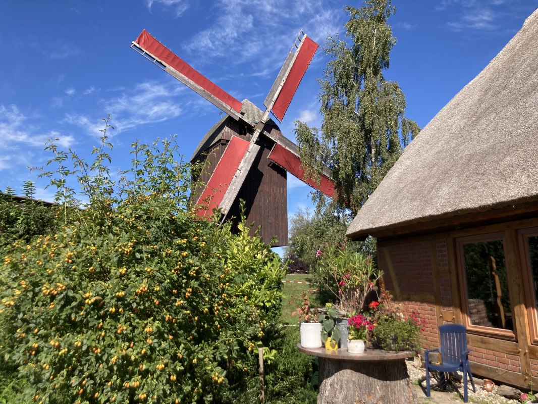 De rood gestipte vleugels staan in de wind // © Martin Weidemeier De rood gestipte vleugels staan in de wind // © Martin Weidemeier