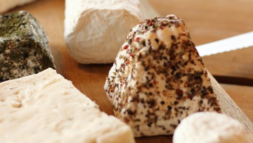 A small selection of our goat cheese, © Kiki / D. Noelke