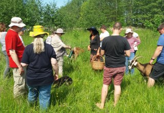 &copy; Martin Hagemann