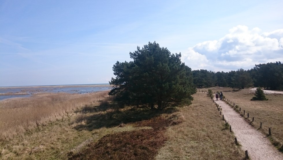 Uitzicht op het Libbertmeer en de rondwandeling Darßer Ort, © UB