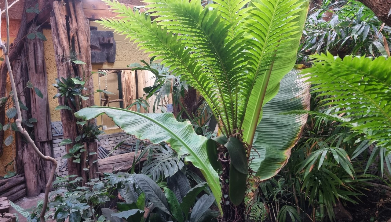 20230125_111002, &copy; Zoo Stralsund