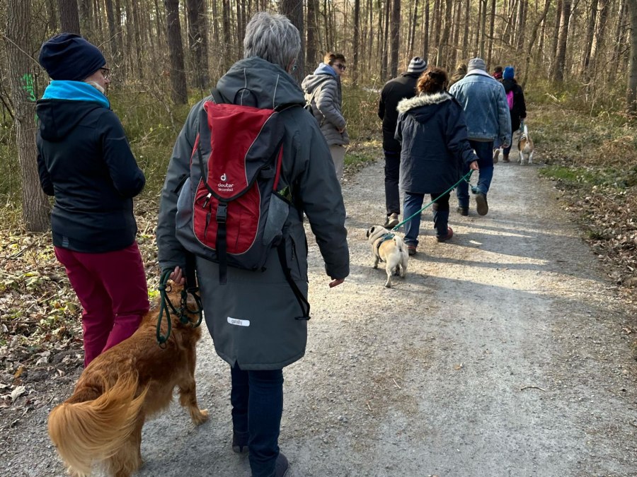 Social walk with dog (c) Kurverwaltung Goehren, &copy; Westphals Insel Crew