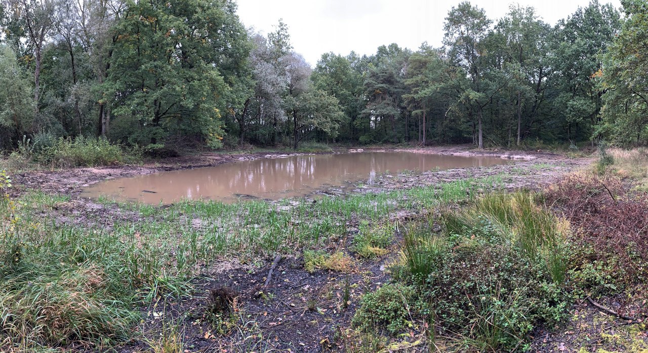 Renaturalized Kubelkakuhle in 2024. // &copy; Biosph&auml;renreservatsamt Schaalsee-Elbe