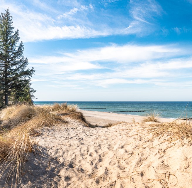 Coastal forest hike "Between the sound of waves and forest whispers" // &copy; Andr&eacute; Pristaff / TuK