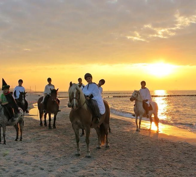 &copy; Bernsteinreiter Hirschburg