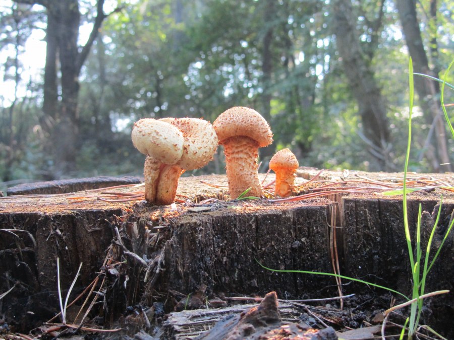 IMG_5817, © © Jana Koch IMG_5817, © © Jana Koch