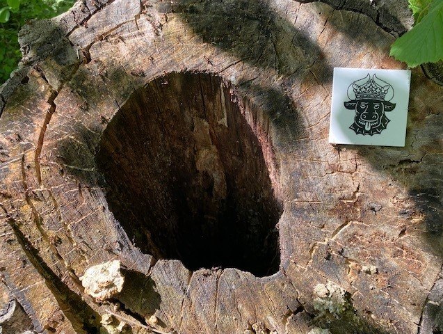 Bürgermeisterrundweg 4, © Foto: Touristinformationen Wesenberg & Mirow, Mecklenburgische Kleinseenplatte