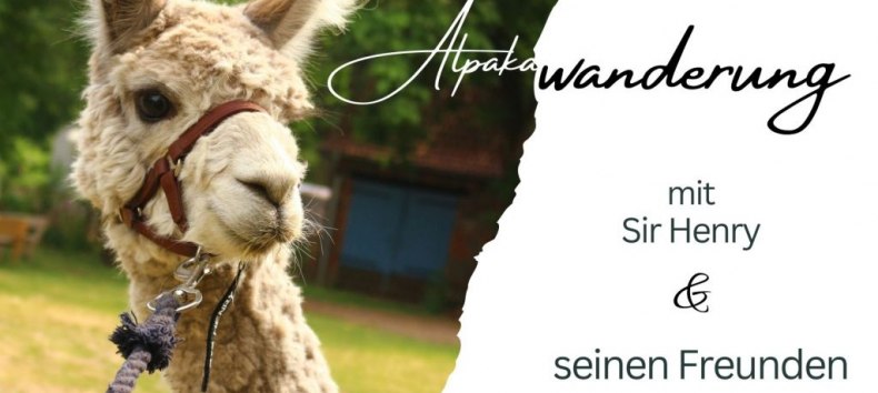 &copy; Jennifer Dietel