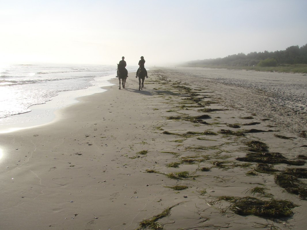 Jazda konna na plaży w Trassenheide // &copy; Hotel Friesenhof