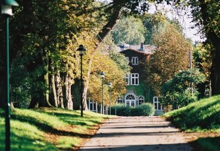 View through the avenue to the manor house Wesselstorf // © Andreas Knoll View through the avenue to the manor house Wesselstorf // © Andreas Knoll