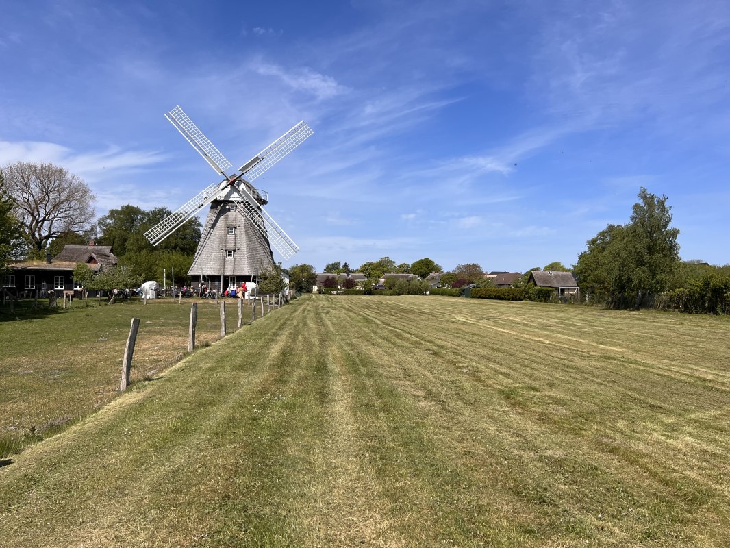 Ahrenshoop Molen, © TV FDZ Ahrenshoop Molen, © TV FDZ