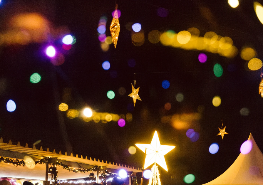 2026-01-26 08_45_09-Bild- & Videopool - MV-T Marke und 6 weitere Seiten - Profil 1 &ndash; Microsoft  Edge, &copy; Stadt Neustrelitz / Theresa Lange