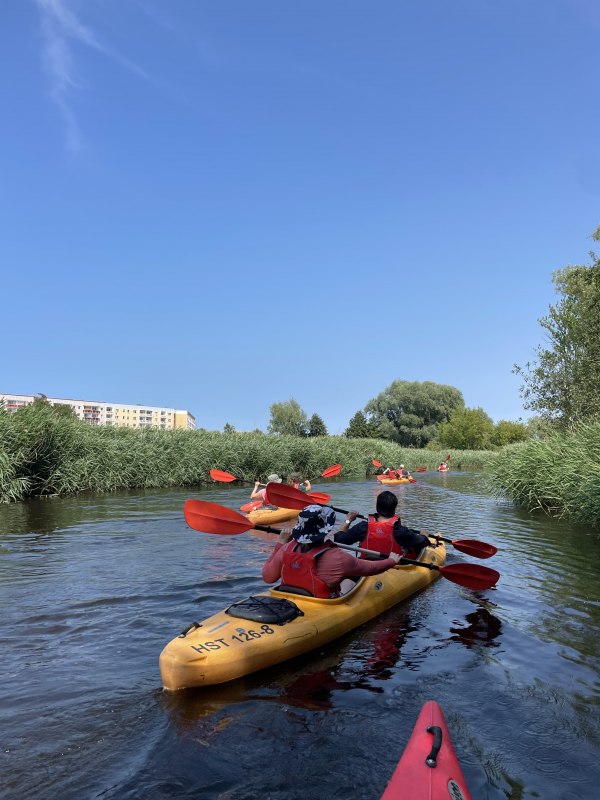Wewnątrz IGA Park, &copy; Ronald Kley