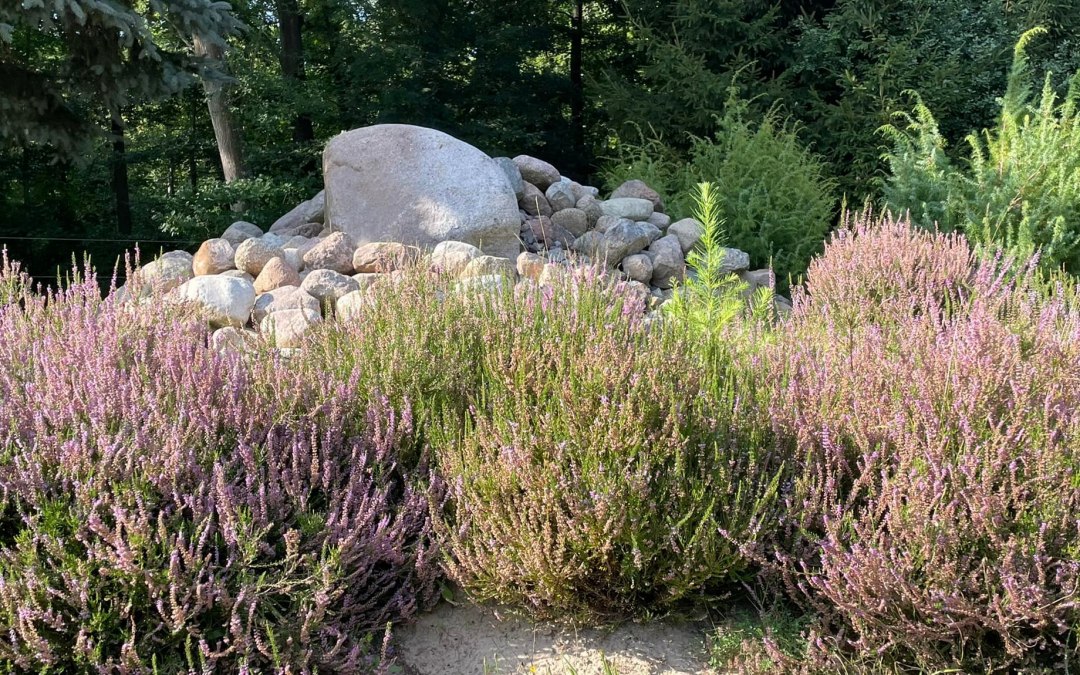 Kopiec na wrzosowisku, &copy; TZ S&uuml;dliche Boddenk&uuml;ste