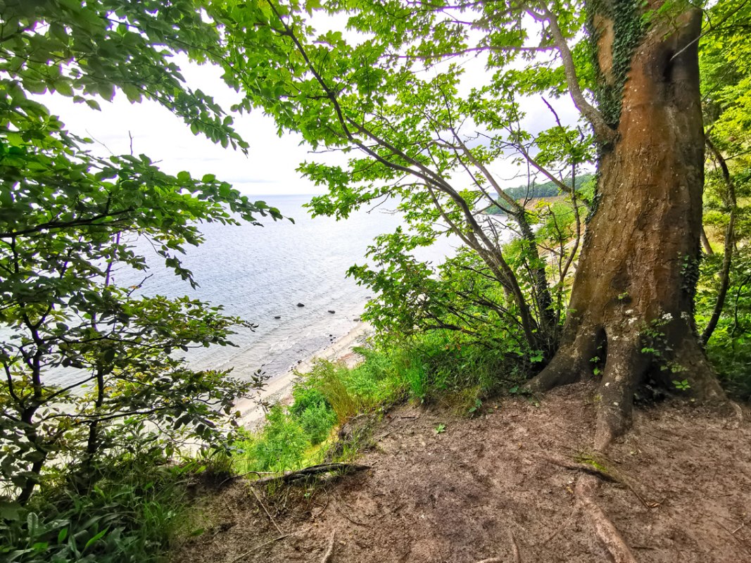 Ranger-rondleiding in het Biosfeerreservaat Zuidoost-Rügen - Göhrener Nordperd, © Biosphärenreservat Südost-Rügen Ranger-rondleiding in het Biosfeerreservaat Zuidoost-Rügen - Göhrener Nordperd, © Biosphärenreservat Südost-Rügen