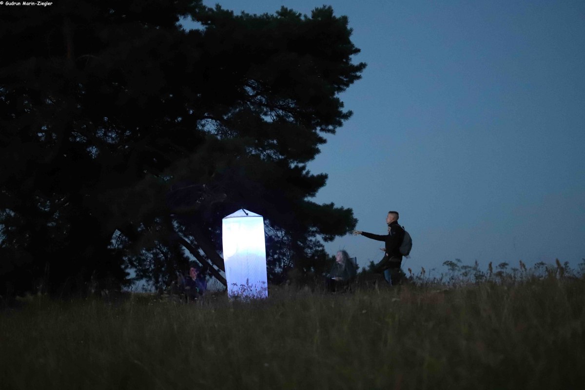 Light trapping of moths // © Marin-Ziegler Light trapping of moths // © Marin-Ziegler